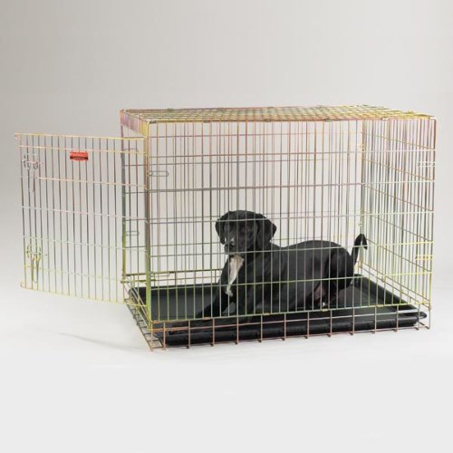 Childrens Toyshop  Pet Supplies : ProSelect Gold Fold-Down Crate Sm 24x17x20 In