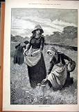 1888 Women Field Gathering Mushrooms Work Fine Art