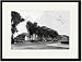 Black Framed/Matted Print 17x23, Metropolitan Museum of Art Partially Blocked by Trees on Fifth Avenue