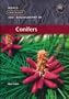 World Checklist and Bibliography of Conifers (Second Edition)