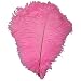 KOLIGHT 50pcs 12'~14'(30~35cm) Natural Ostrich Feathers for DIY Home Wedding Party Office Decoration (Pink)