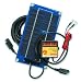 2 Watt Solar Pulse Battery Charger