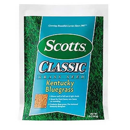 Scotts Kentucky Bluegrass Seed, 3 lb