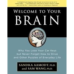 Welcome To Your Brain