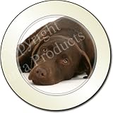 Outdoor Living : CHOCOLATE LABRADOR DOG Tax Disc Holder