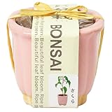 ���i�̏ڍ�