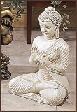18 Sitting Meditating Lotus Buddha Statue
