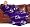 Minnesota Vikings Adult Comfy Throw Blanket with Sleeves
