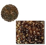 Pack of 12 Lavish Brown Fully Sequined & Beaded Christmas Ball Ornaments 3.5