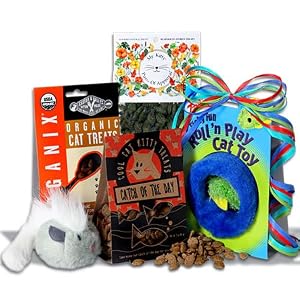 Cat Lover's Gift Basket Stack / Pampered Cat Gift Basket Stack
