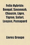 Flin Hybride: Bengal, Savannah, Chausie, Ligre, Tigron, Safari, Leopon, Pumapard