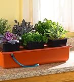 51VvXYhAi L. SL160  Emilys Garden Hydroponic System