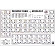 Periodic Table of Mixology Reference Guide Art Poster Print - 24x36