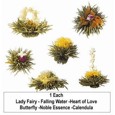 Teaposy Blooming Tea Bulbs, Medley, Variety Pack of Six Blossoms (Pack of 6) under White Teas in The Health and personal care Store
