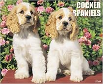 Just Cocker Spaniels 2009 Calendar From Willow Creek