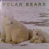 Polar Bears Wall Calendar 2009 by Magnum