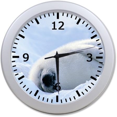 So Wonderful!Seal animal Patterns 9.65" elegant wall clock Unique Design for Home Decoration! (2 border colours optional)