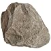 American Educational Hornblende Phenocrysts Andesite Igneous Rock, 10 Pieces