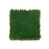 ���i�̏ڍ�