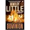 Bentley Little Books