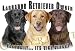 labrador9  - Labrador Retriever Mouse Pad Dog Mousepad Vice Versa