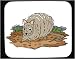 Decorated Mouse Pad with mammal, coati, desert, stripes, brown