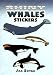 Shiny Whales Stickers