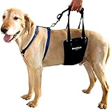 GingerLead Dog Support & Rehabilitation Harness - Medium (Lg Male) Sling
