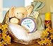 Baby Elephant Remembers Gourmet Food Gift Basket
