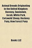 Animal Breeds Originating in the United Kingdom: Romney-