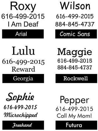 Rita Bean Engraved Buckle Personalized Dog Collar - Blue Nylon Webbing (Medium)