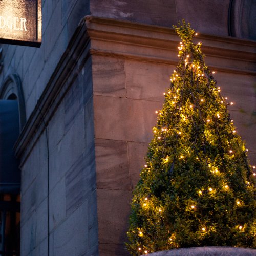 détail Guirlande Lumineuse Extérieure Raccordable de Noël, 190 Ampoules, 20 Mètres, Câble Vert, Type A