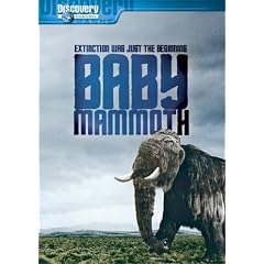Baby Mammoth by 