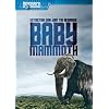BABY MAMMOTH