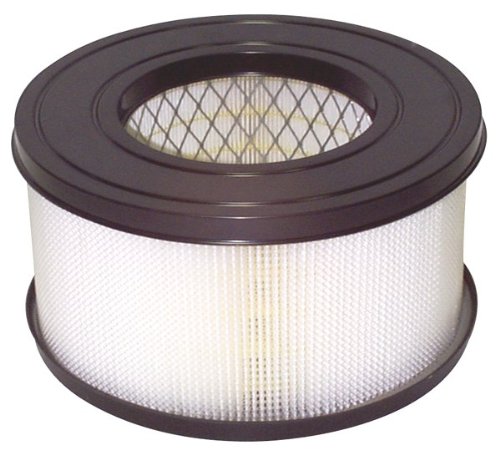 FP300 Pollenex Air Cleaner HEPA Filter