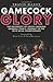 Gamecock Glory: The University Of South Carolina Baseball Team's ...