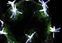 24 LED Solar-Lichterkette mit 24 Libellen Pavillionbeleuchtu