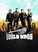 Wild Hogs
