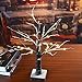 Lightshare™ UPDATE 24L LED Bonsai Snow Tree,+Free Gift:8L LED Poinsettia Artificial Decoration Light,Home/Festival/Party/Christmas,Indoor and Outdoor Use,Warm White