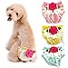 PanDaDa Puppy Pet Dog Flower Sanitary Panty Pant Lace Diaper Underwear Green X-Small