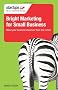 Bright Marketing for Small Business (Startups)