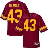 Nike USC Trojans #43 Troy Polamalu Crimson Greats and Glory Football Jersey