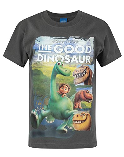 Official The Good Dinosaur Boy's T-Shirt