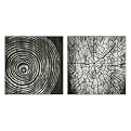 Tree Ring Wall Art Collection