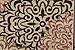 Contemporary Brown and Beige Modern Floral Flowers Area Rug (2' x 3')