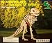 ABC Products - Wooden ~ Dinosaur Assembling Skeleton Kit (Tyrannosaurus)