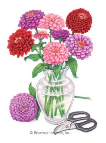 Northern Light Blend Zinnia Seeds - 1 gram - Botanical Interests Northern Light Blend Zinnia Seeds - 1 gram - Botanical Interests