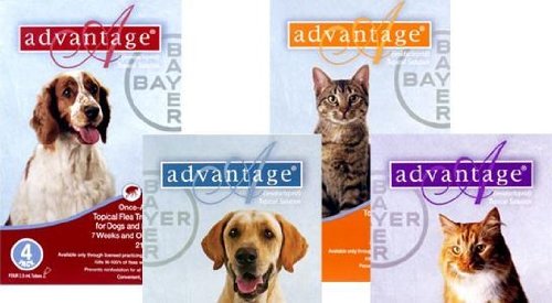 Advantage Flea Meds for Dogs 11-20lbs 4 month supply