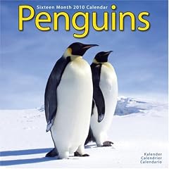 Penguins 2010 Wall Calendar