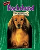 Dachshund: The Hot Dogger (Little Dogs Rock!)